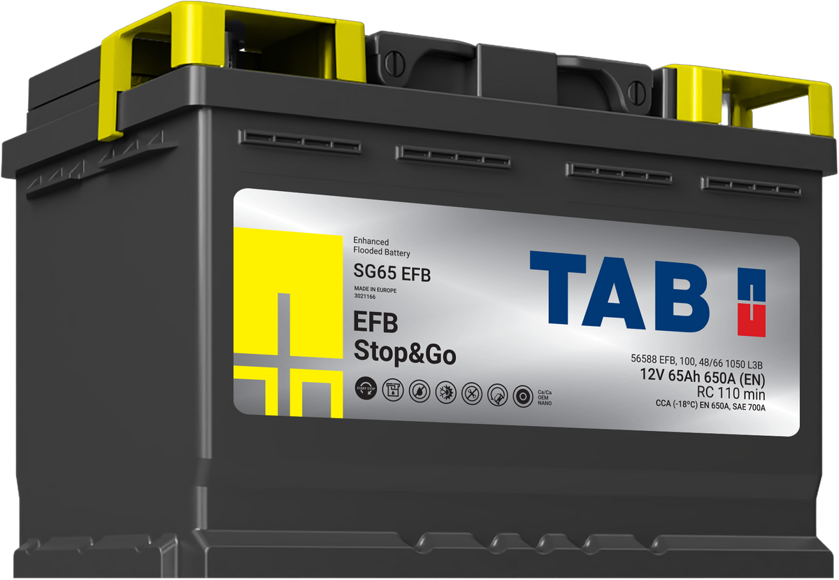 Batteria TAB SG65 65Ah 650A EN